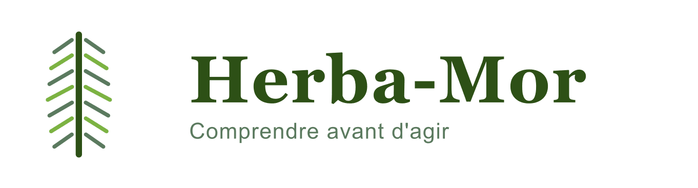 Herba-Mor