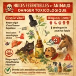 Infographie huiles essentielles et animaux montrant les risques de toxicité chez le chat et le chien