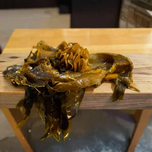 Wakamé (Undaria pinnatifida) – algue brune comestible aux longues frondes ondulées, typique des eaux côtières tempérées.