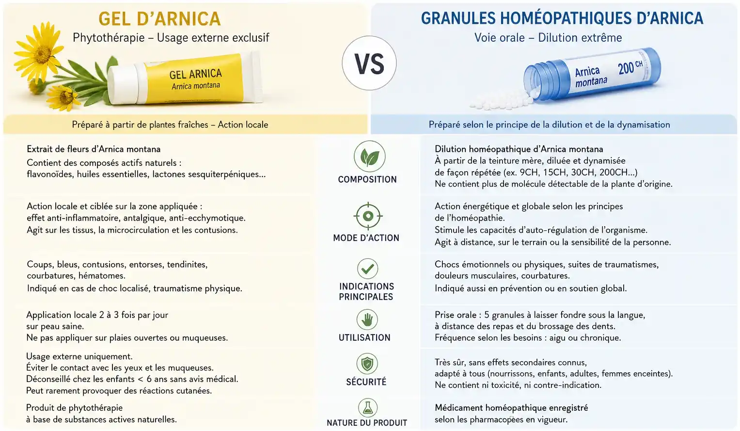 Arnica phytothérapie vs arnica homéopathique — deux formes aux voies d'administration opposées Comparaison entre le gel d'arnica en phytothérapie, à usage externe exclusif, et les granules homéopathiques d'arnica, prises par voie orale grâce à la dilution extrême de leurs composés