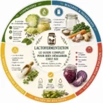 Lactofermentation maison : étapes, légumes, matériel, recette et signes de réussite